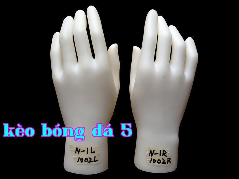 Mỹ học và lựa chọn bàn tay của người mẫu trong cửa hàng trang sức