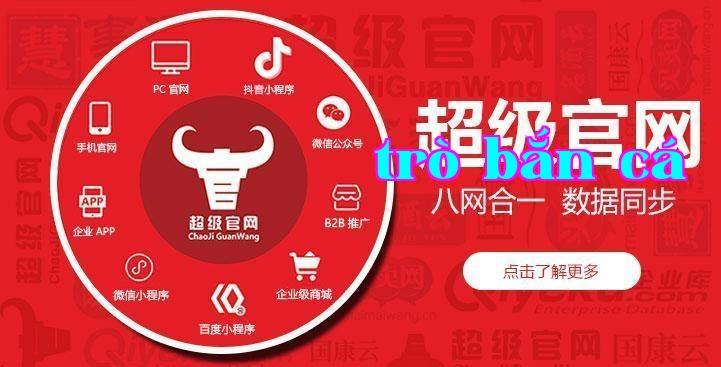 Trang web chính thức cấp cao