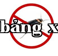 Công ty diệt côn trùng và chuột ở Trường Sa hướng dẫn từng bước cách tiêu diệt khó chịu trong nhà hàng