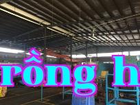 Nhiệt luyện chân không Trung Sơn: Các phương pháp xử lý hiệu quả biến dạng nhiệt luyện và phòng ngừa