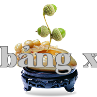 Xe máy và phụ tùng thực phẩm, đồ uống